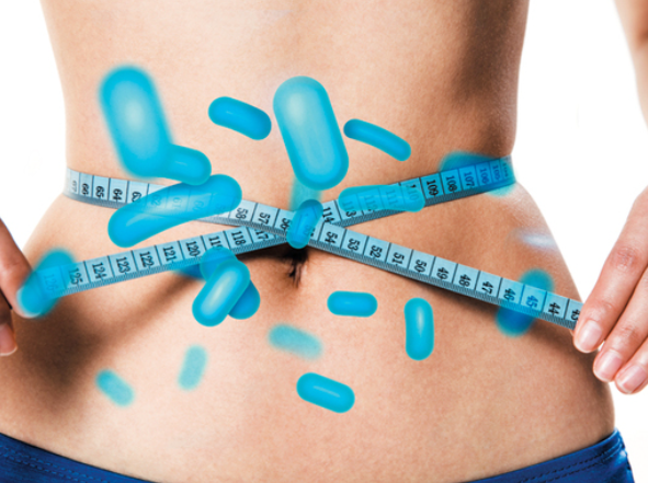 스트레스는 장내 유해균의 증식을 촉진