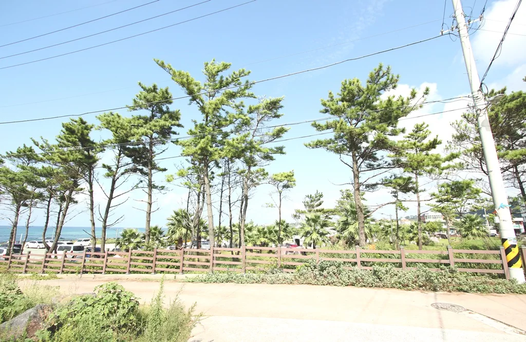 곽지해수욕장 서쪽에 위치한 넓은 주차장 환경.