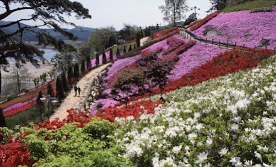 법성포 숲쟁이공원