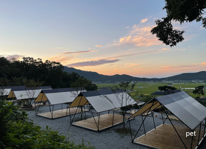 경기-인천-스톤캠핑장-예약-방법-애견-동반-가격-주소-시간-후기