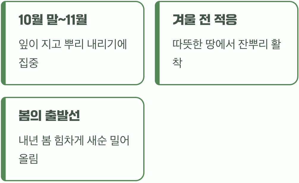 가을 심기, 뿌리를 위한 최적의 시간