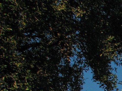 디즈니런 서울 2025 여의도 마라톤 개최 캐릭터 코스프레까지 참가접수는?