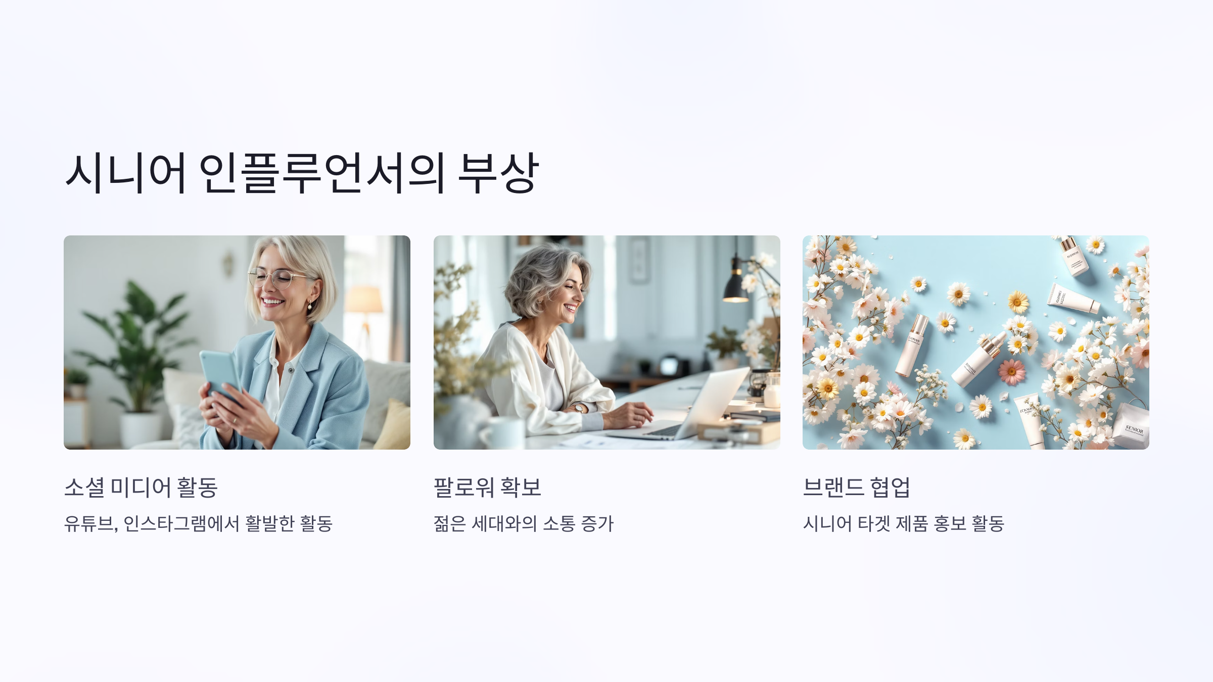 시니어 뜻