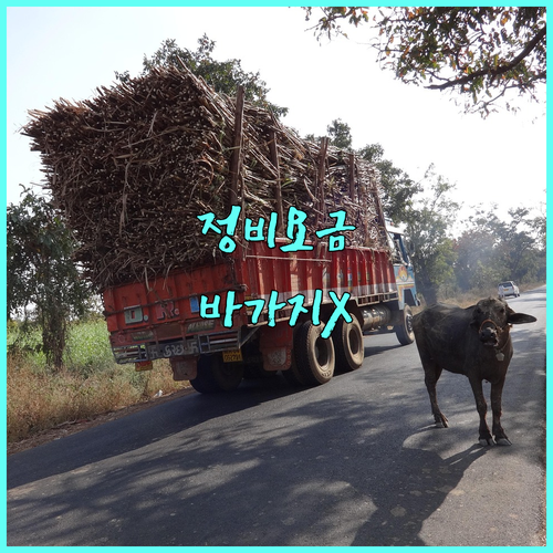 바가지 없는 정비 공임나라 부산 이용