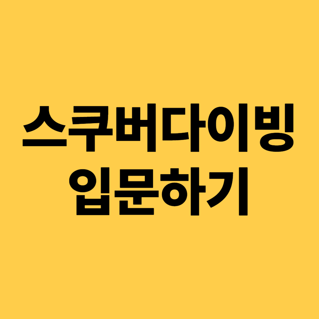 스쿠버다이빙 입문