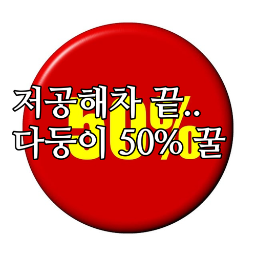 금천구 주차 감면 2025년 다둥이 ..