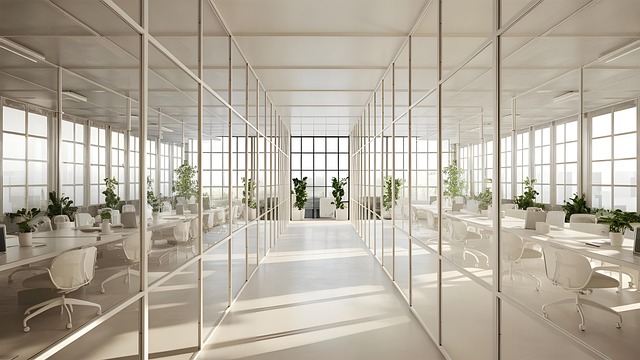 청년 창업 세액 감면