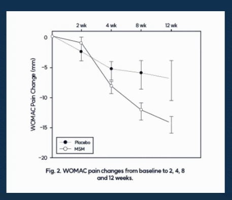 옵티머스트 관절약 효능 인체 적용시험 결과 사진