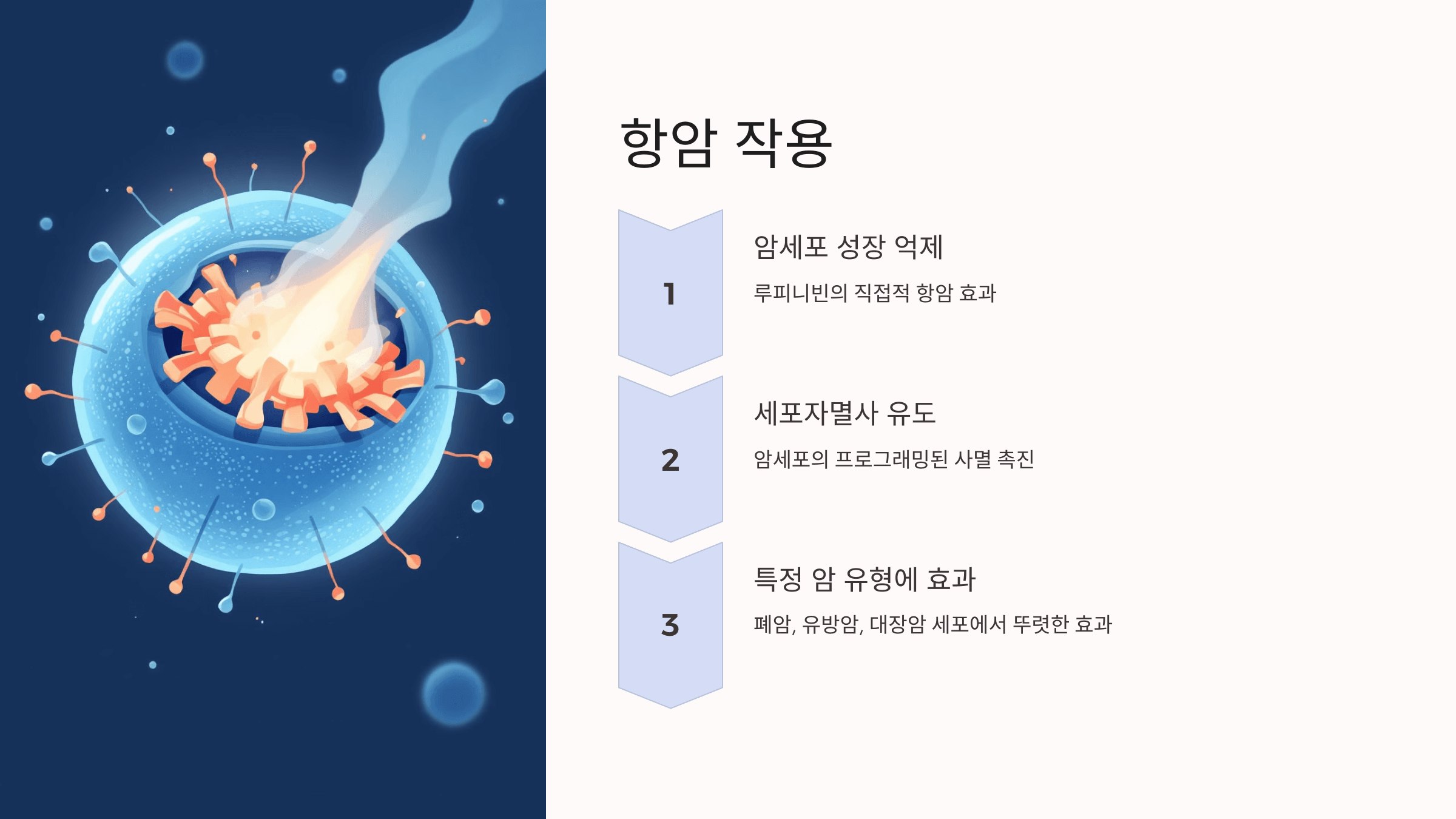 루피니빈과 관련된 사진입니다.