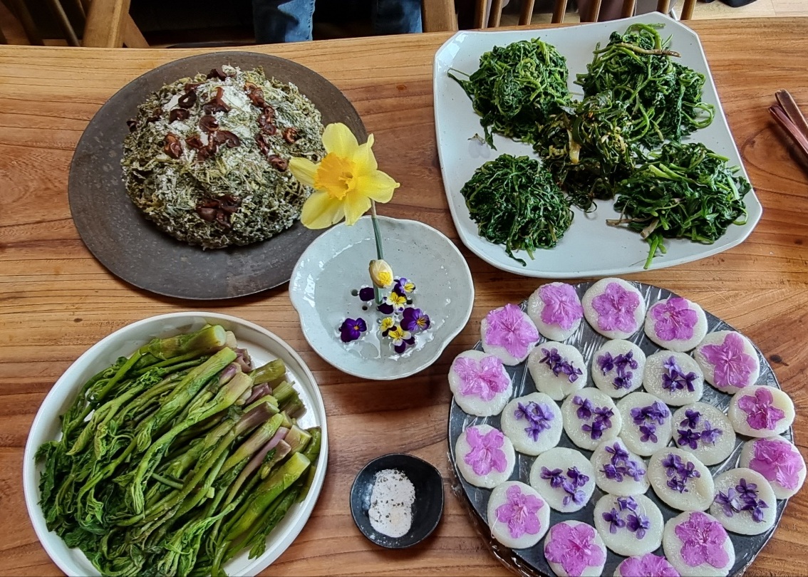 직접 채취한 봄나물과 쑥버무리, 화전으로 차린 봄 제철 음식. 자연의 맛과 계절의 즐거움을 담은 봄 식탁 모습.