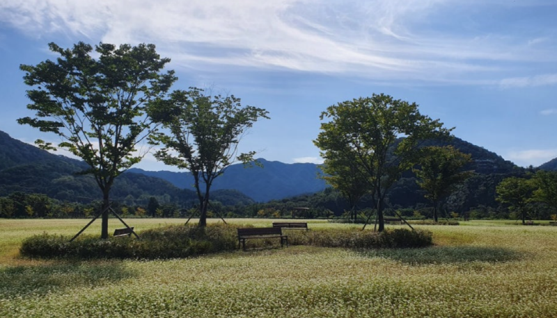 포천 한탄강 가든페스타