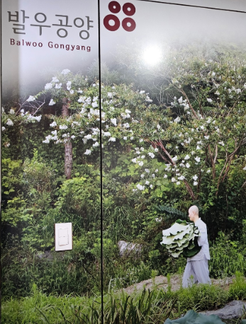 생생정보 2438회 소개된 사찰음식 맛집 추천/발우공양 후기