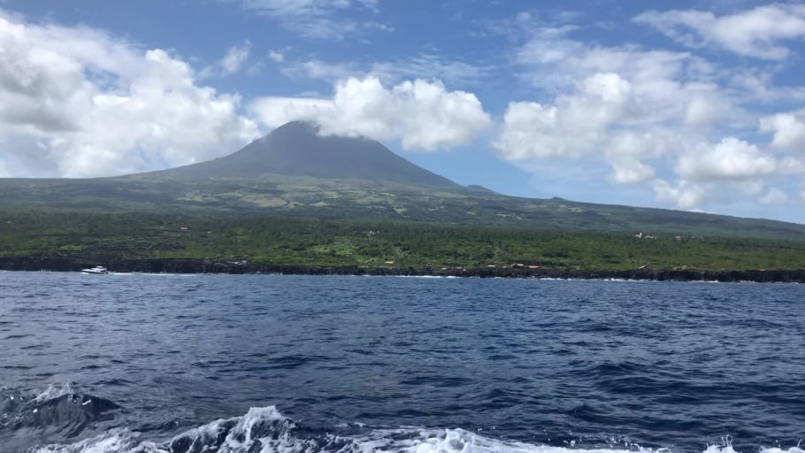 파이알 섬 관련 사진