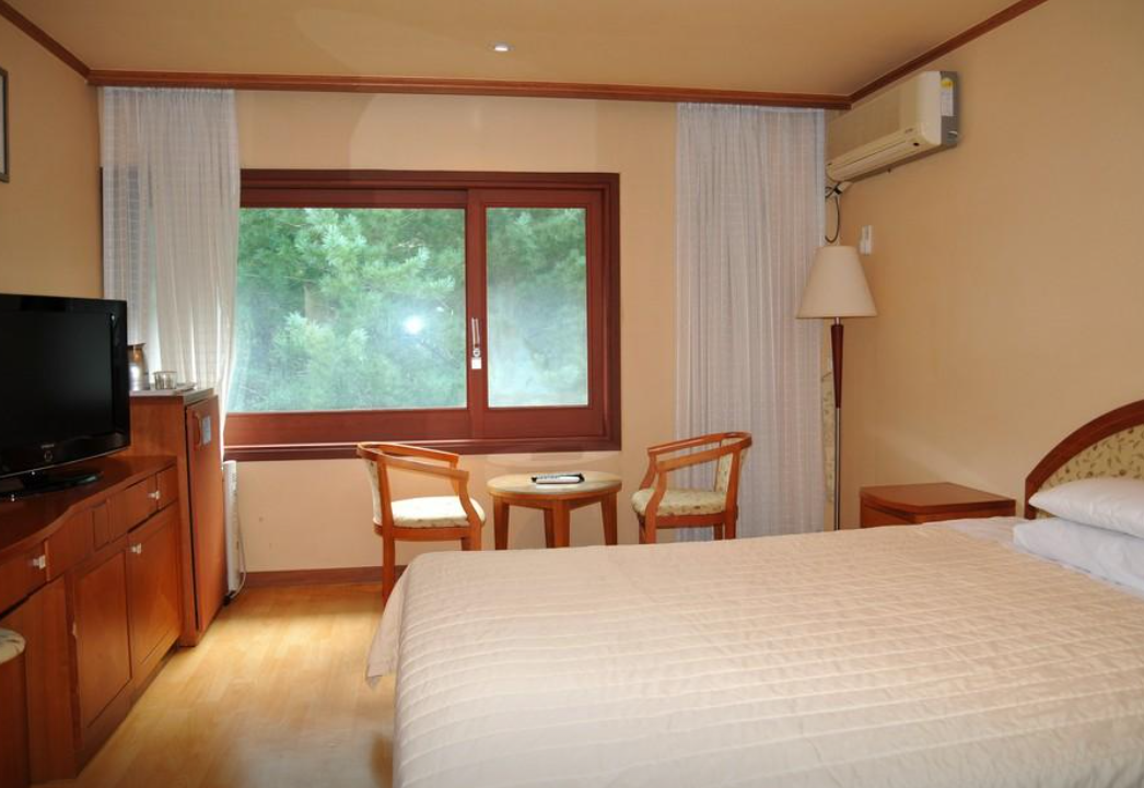 수안보파크호텔