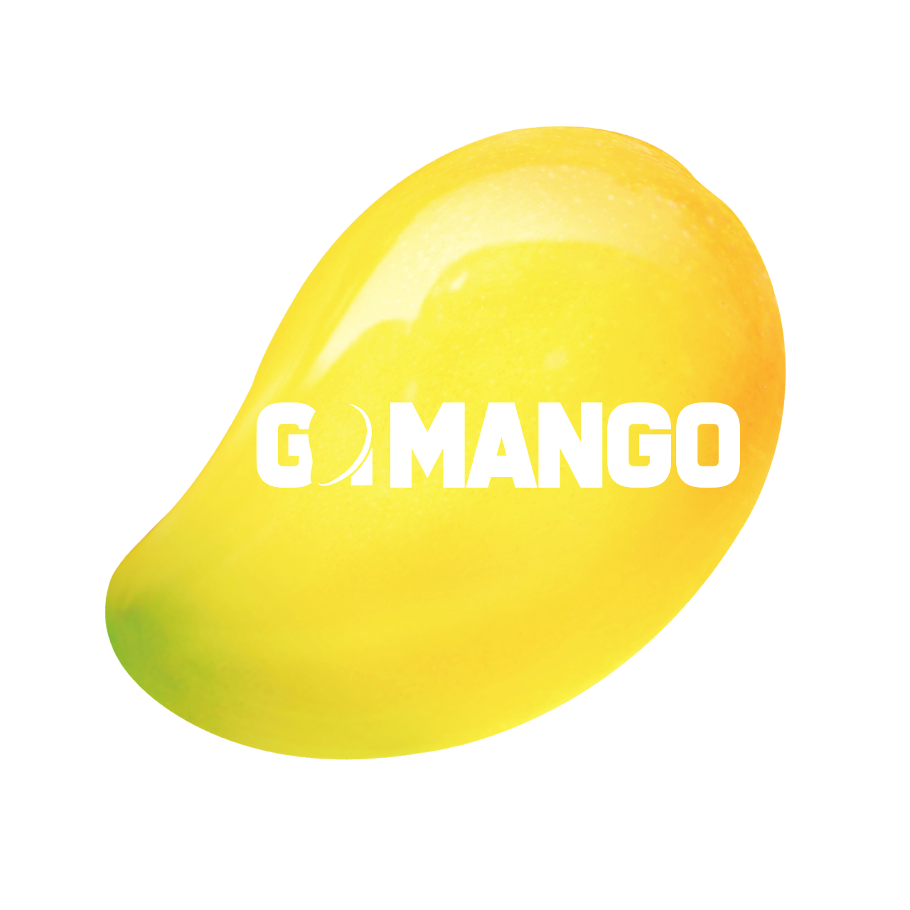 고망고 전주역점