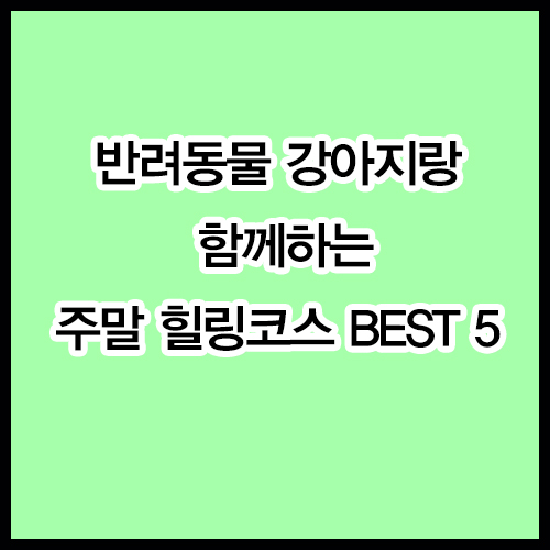 반려동물 강아지랑 함께하는 주말 힐링코스 BEST 5