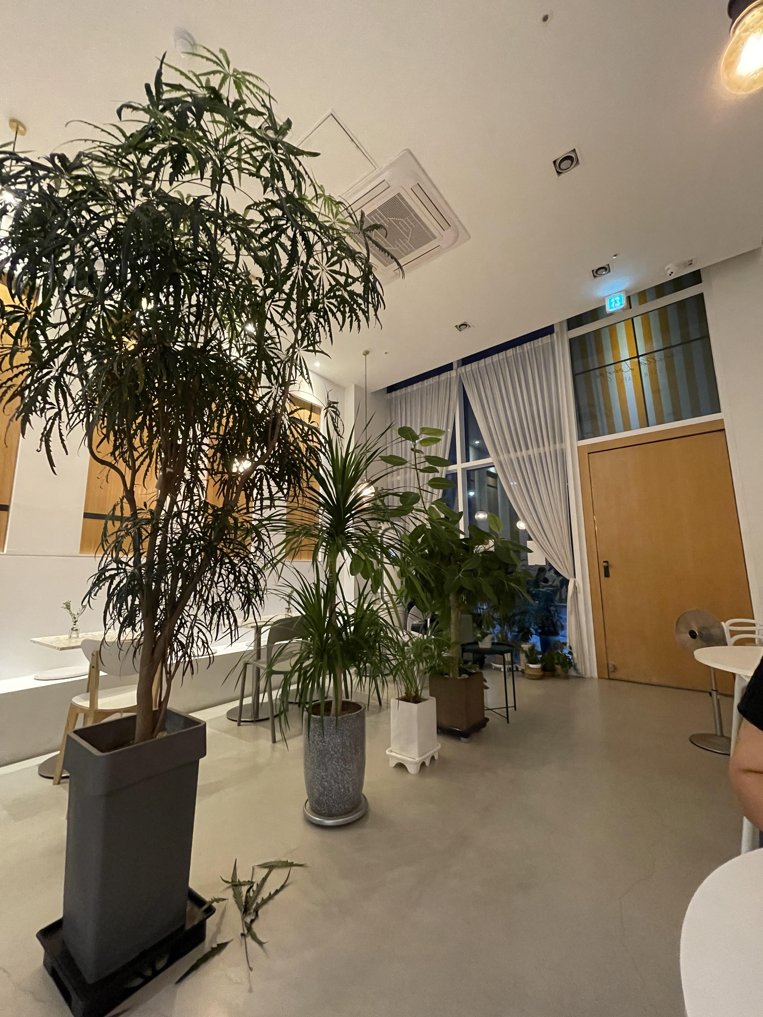 인천서창동카페_바닐라라운지