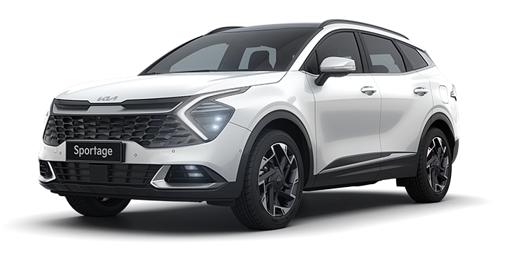 스노우화이트 펄(색상 코드 : SWP)