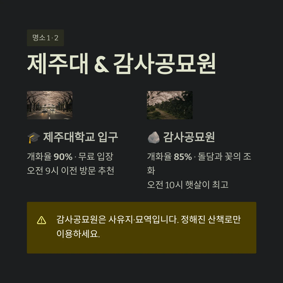제주대 &amp; 감사공묘원