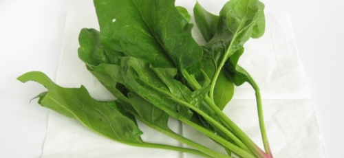 마그네슘 이미지