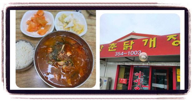 전현무계획2 닭개장 후기