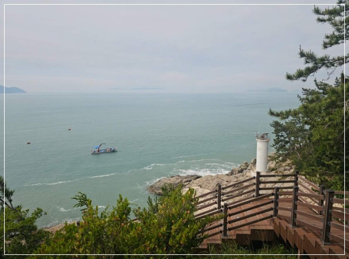 완도 가볼만한곳 베스트10 약산 해안치유의 숲