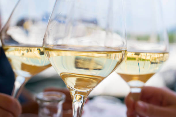 관자 버터구이 &amp; 샤르도네(Chardonnay) 와인 페어링｜고소한 버터 풍미와 묵직한 과실미의 우아한 조화