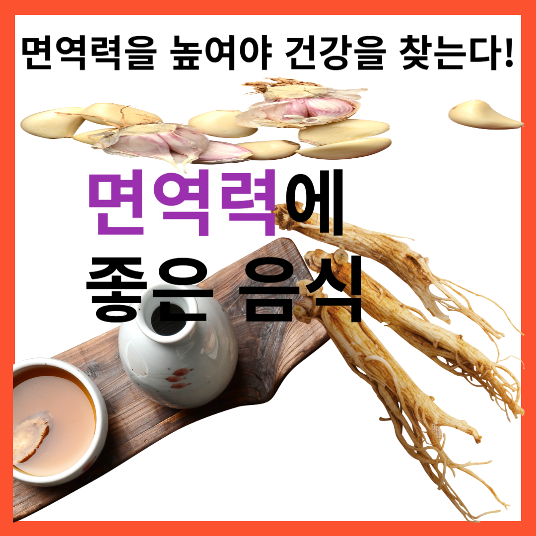 올 겨울 면역력 강화 슈퍼푸드 5가지