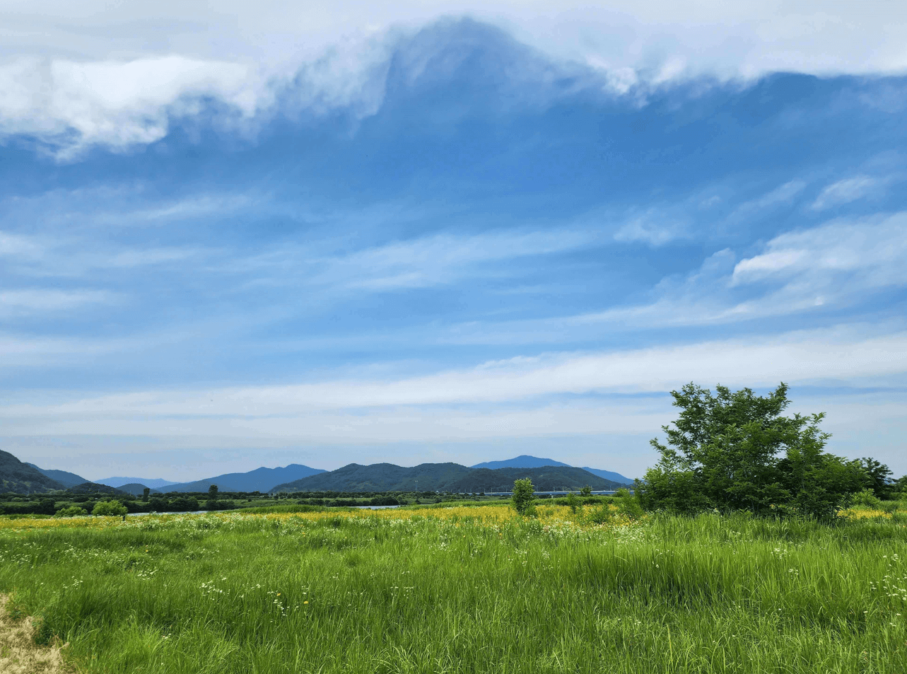 낙동강 녹생 자전거길 무료 대여소