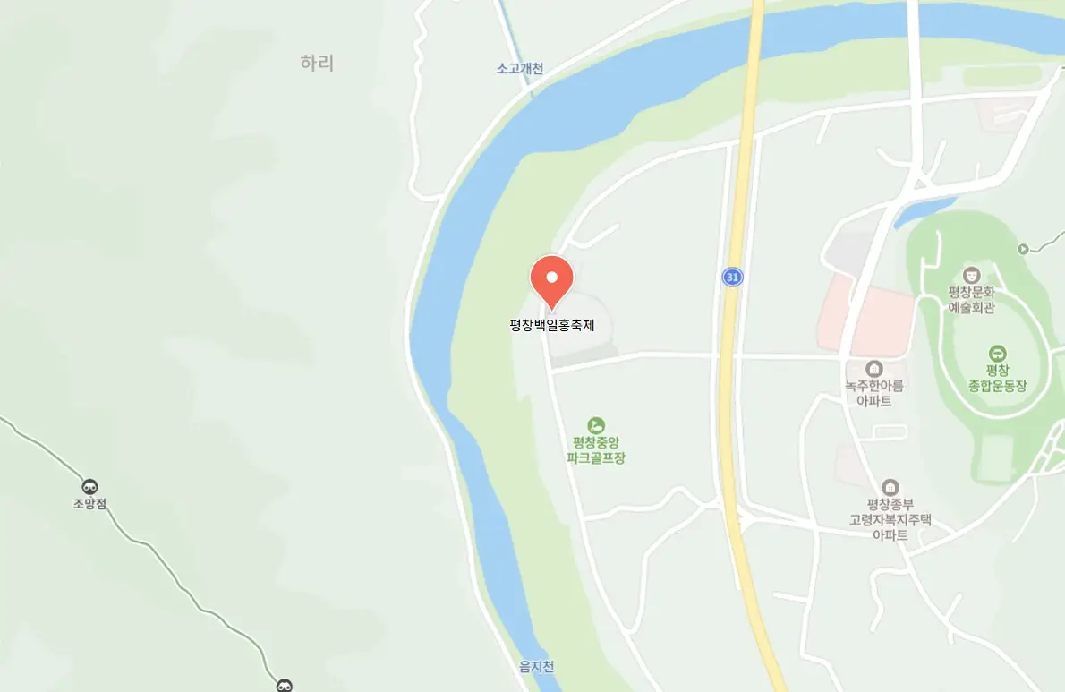 평창백일홍축제