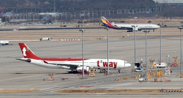 티웨이 항공기 사진