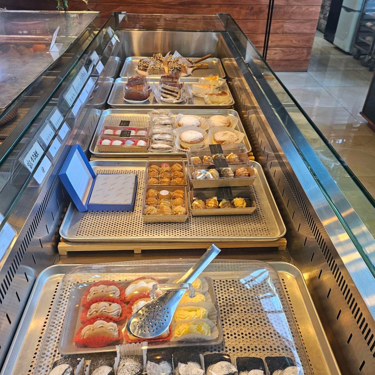 오늘N 커피 한잔할래요? 경북 경주시 식물원 분위기 카페 오베르 경주여행 갈만한 곳 오늘N 2501회