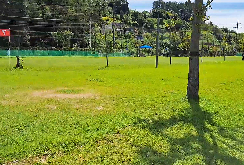 세종특별자치시 부강파크골프장 소개