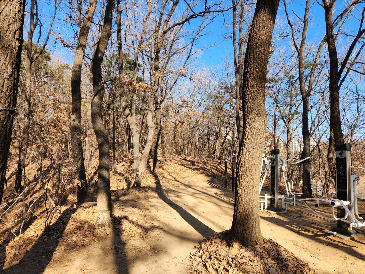구름정원-흙길-어싱-운동기구