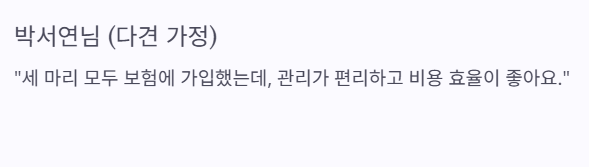 현대해상 펫보험