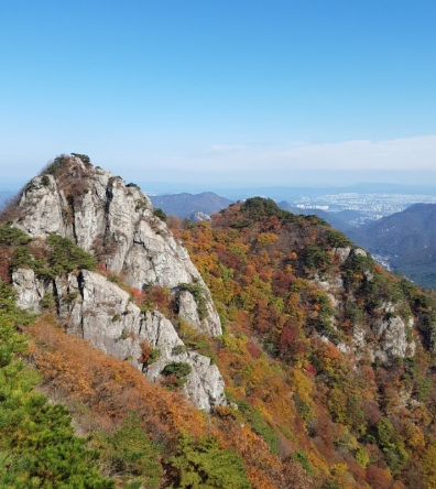 2025 충청도 단풍 명산 코스 추천 ❘ 월악산·계룡산·속리산 절정 시기