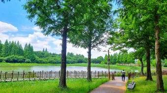 김제 가볼만한곳 베스트10 현지인 추천 필수코스_37