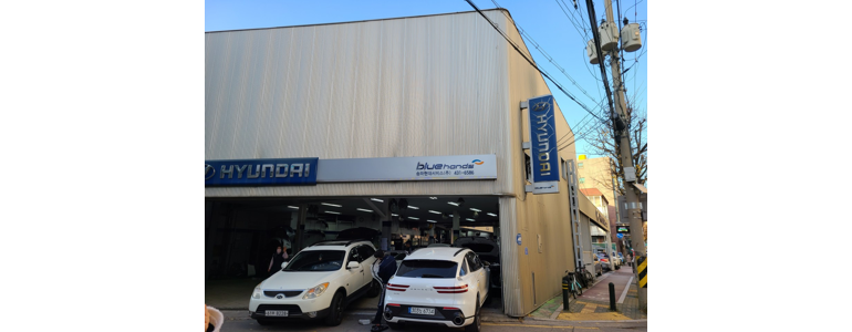 서울 송파구 블루핸즈