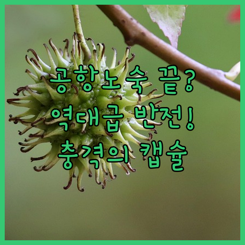 멕시코 시티 공항 노숙 대신 선택한 ..
