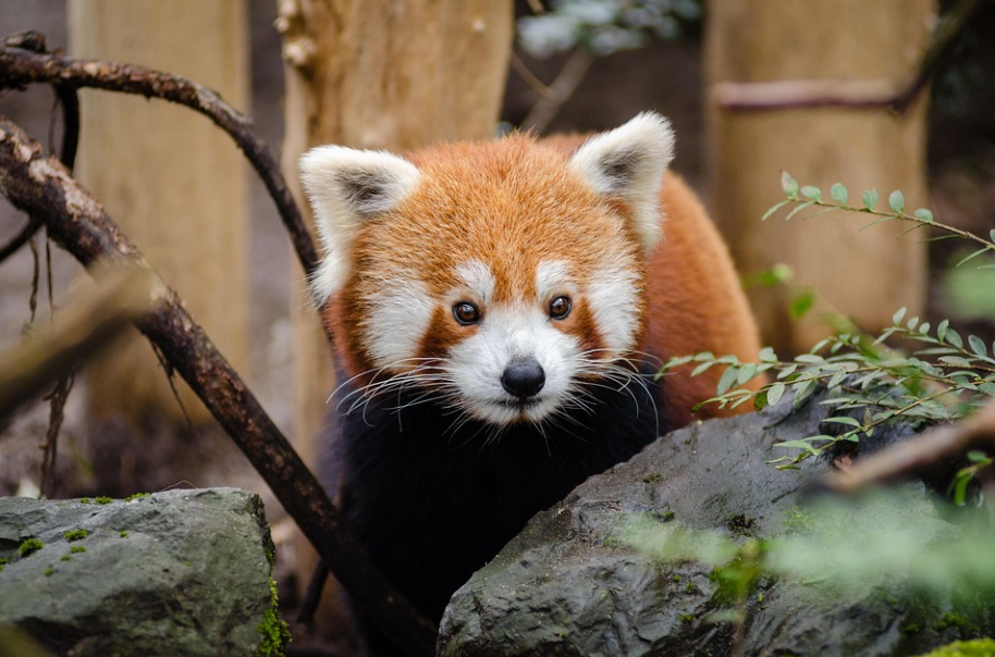 무해력(Embracing Harmlessness)이 이슈가 되는 이유