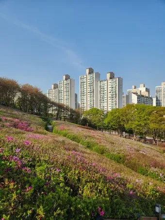 군포 가볼만한곳 베스트10 현지인 추천 필수코스_21
