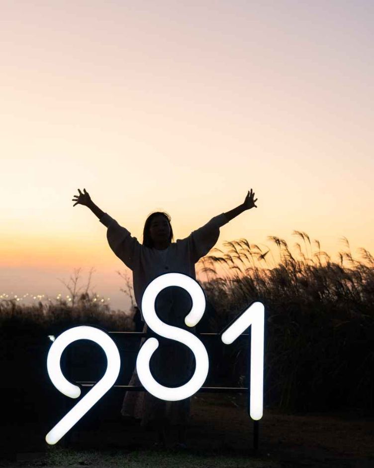 10월 지역 축제 제주 가을 축제 억새