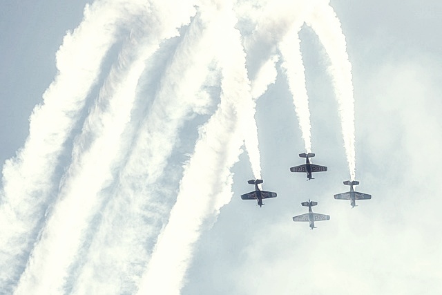 예비군 교육필증