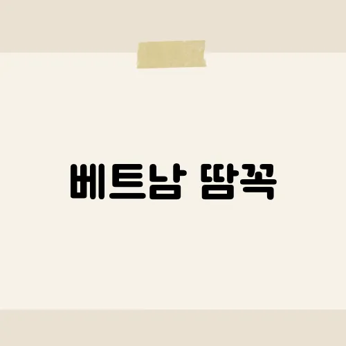 베트남 땀꼭, 보트투어 꿀팁은?