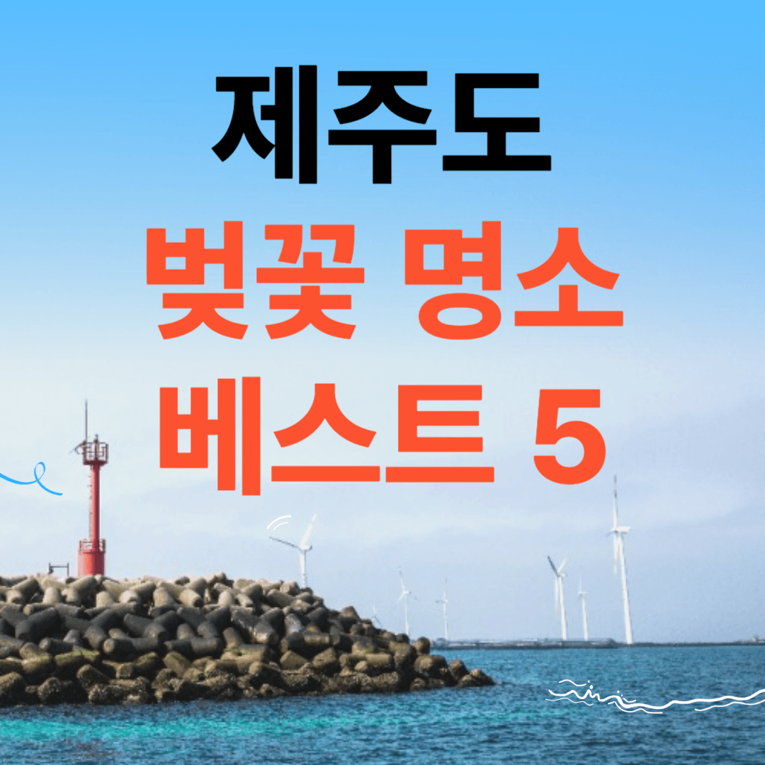 제주도 벚꽃 명소