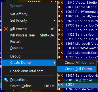 ProcessExploer 덤프생성