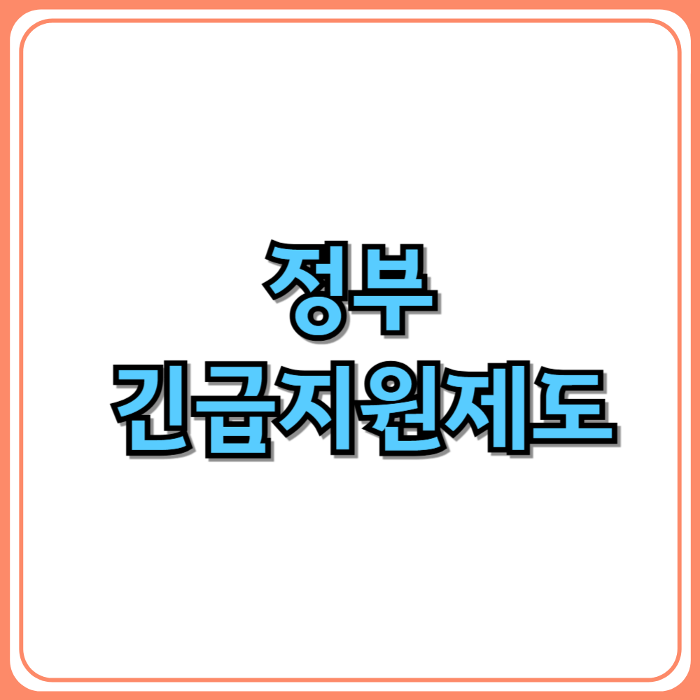 정부 긴급지원제도