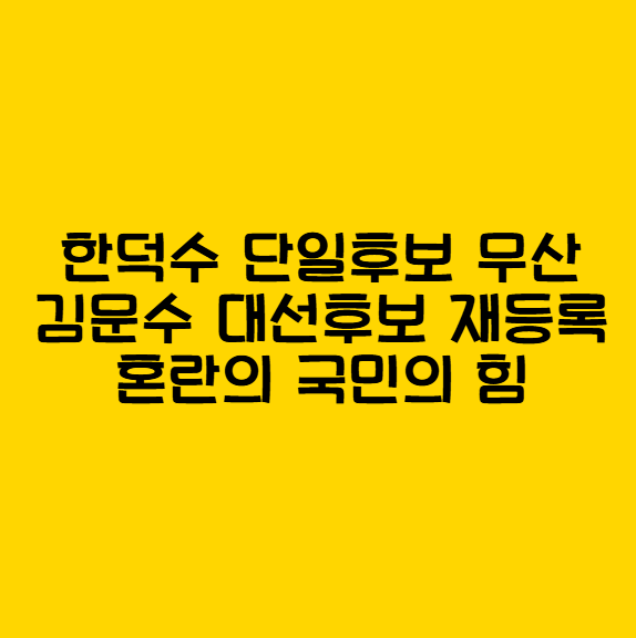 한덕수 단일화