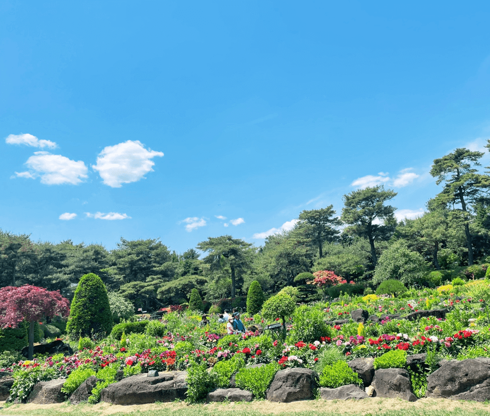 2023 파주 벽초지수목원 백만송이 봄꽃축제