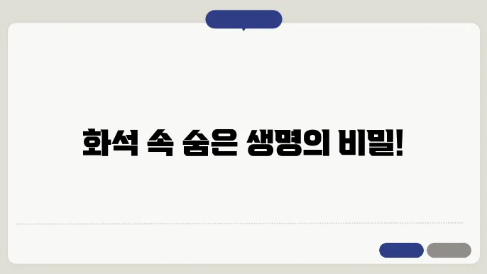 화석과 생물 지층: 지질학에서의 생물 다양성